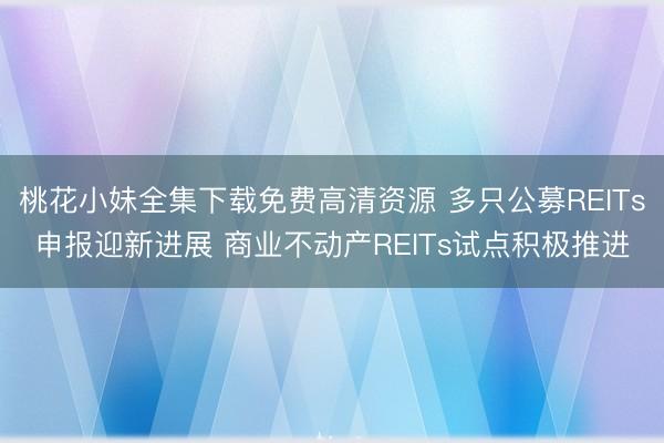 桃花小妹全集下载免费高清资源 多只公募REITs申报迎新进展 商业不动产REITs试点积极推进