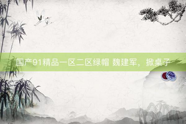 国产91精品一区二区绿帽 魏建军，掀桌子