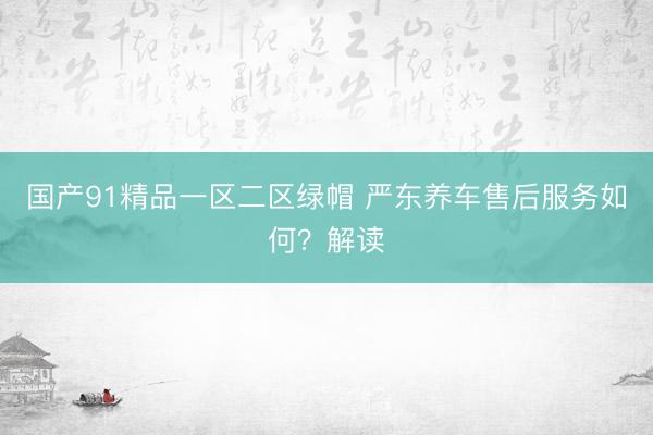 国产91精品一区二区绿帽 严东养车售后服务如何？解读