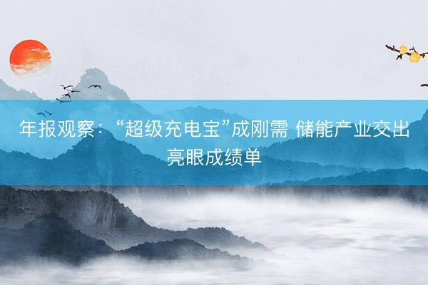 年报观察：“超级充电宝”成刚需 储能产业交出亮眼成绩单