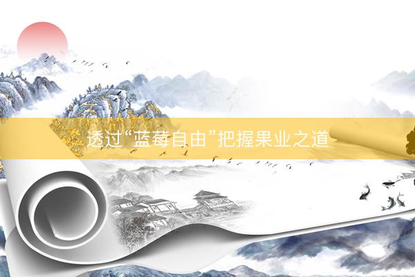 透过“蓝莓自由”把握果业之道