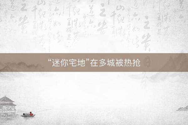 “迷你宅地”在多城被热抢
