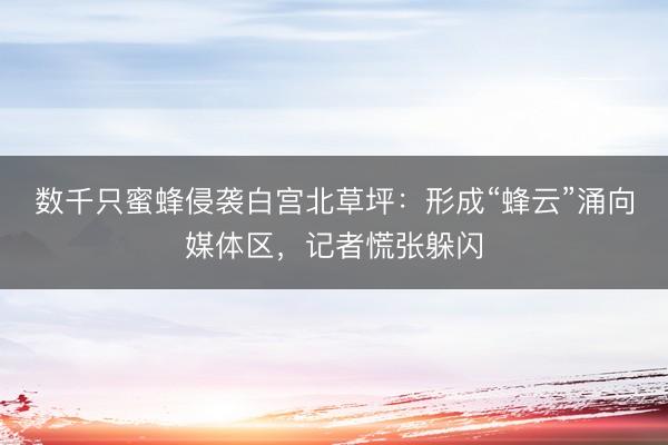 数千只蜜蜂侵袭白宫北草坪：形成“蜂云”涌向媒体区，记者慌张躲闪