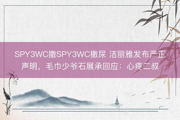 SPY3WC撒SPY3WC撒尿 洁丽雅发布严正声明，毛巾少爷石展承回应：心疼二叔