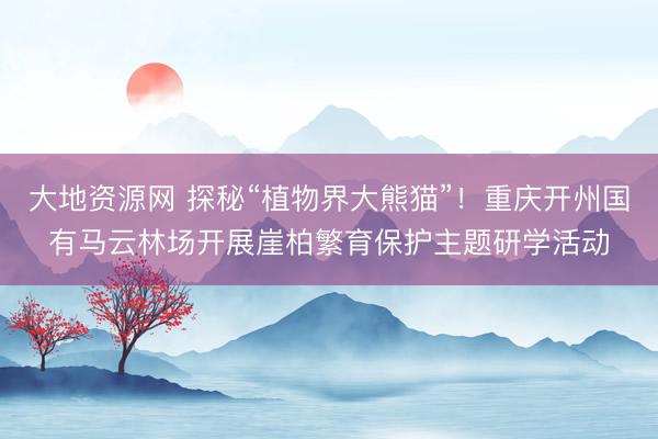大地资源网 探秘“植物界大熊猫”！重庆开州国有马云林场开展崖柏繁育保护主题研学活动