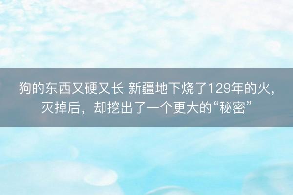 狗的东西又硬又长 新疆地下烧了129年的火，灭掉后，却挖出了一个更大的“秘密”