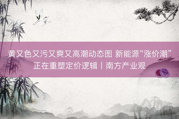黄又色又污又爽又高潮动态图 新能源“涨价潮”正在重塑定价逻辑丨南方产业观