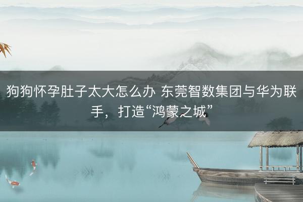 狗狗怀孕肚子太大怎么办 东莞智数集团与华为联手，打造“鸿蒙之城”