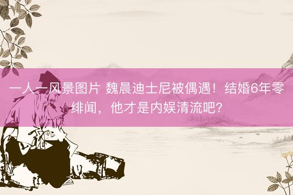 一人一风景图片 魏晨迪士尼被偶遇！结婚6年零绯闻，他才是内娱清流吧？