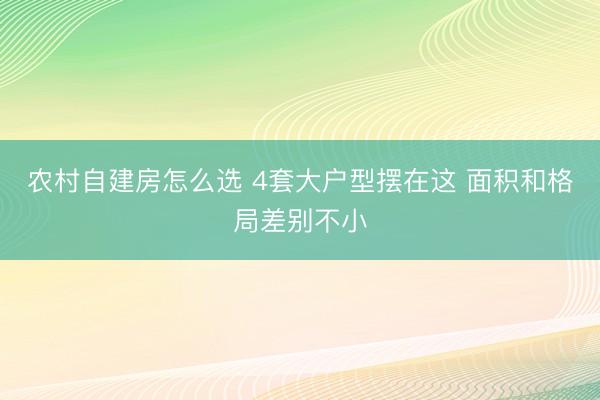 农村自建房怎么选 4套大户型摆在这 面积和格局差别不小