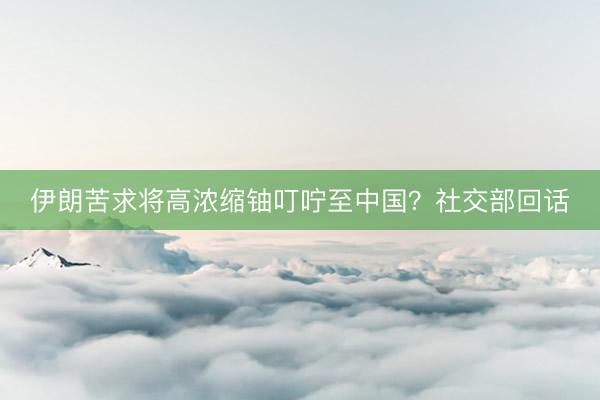 伊朗苦求将高浓缩铀叮咛至中国？社交部回话