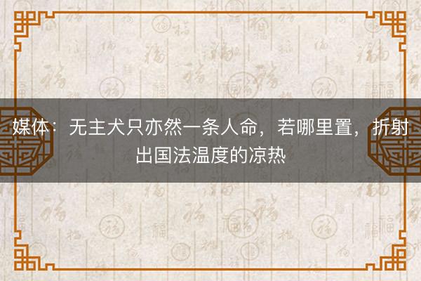 媒体：无主犬只亦然一条人命，若哪里置，折射出国法温度的凉热