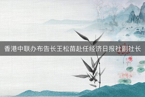 香港中联办布告长王松苗赴任经济日报社副社长