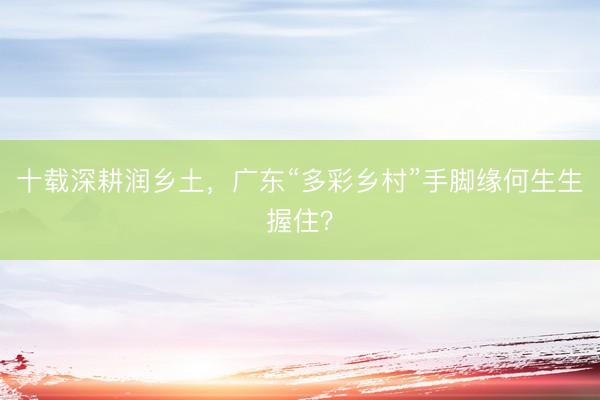 十载深耕润乡土，广东“多彩乡村”手脚缘何生生握住？