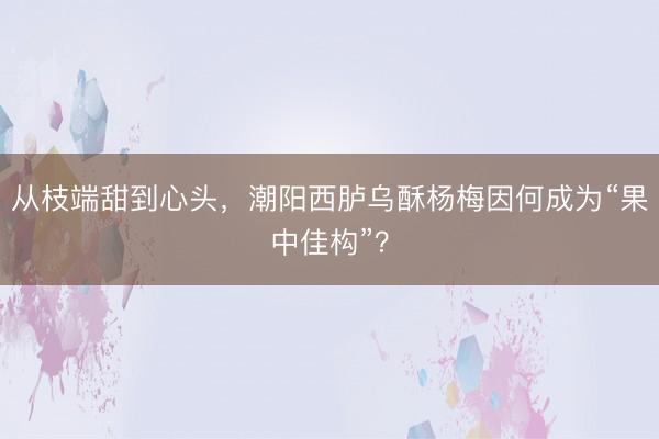 从枝端甜到心头，潮阳西胪乌酥杨梅因何成为“果中佳构”？