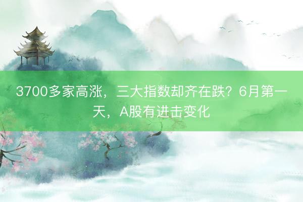 3700多家高涨，三大指数却齐在跌？6月第一天，A股有进击变化