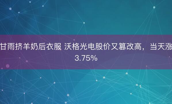 甘雨挤羊奶后衣服 沃格光电股价又篡改高，当天涨3.75%