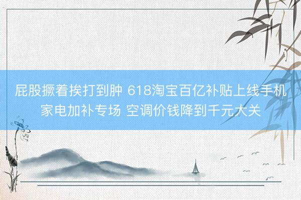 屁股撅着挨打到肿 618淘宝百亿补贴上线手机家电加补专场 空调价钱降到千元大关