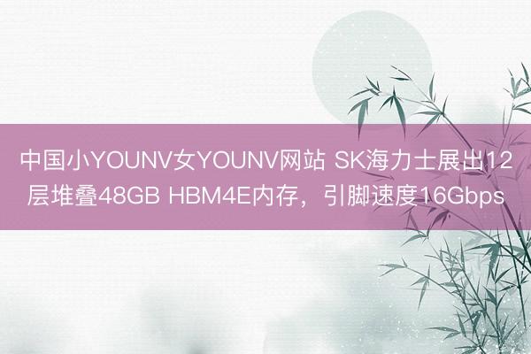 中国小YOUNV女YOUNV网站 SK海力士展出12层堆叠48GB HBM4E内存，引脚速度16Gbps