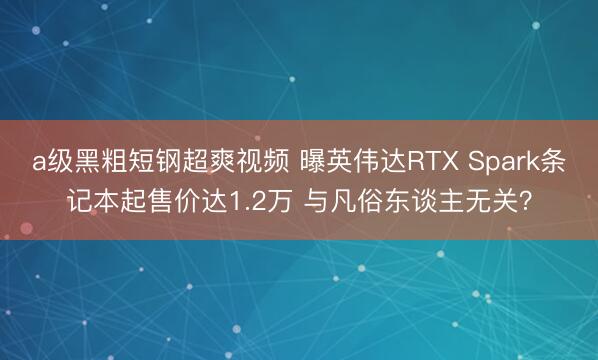 a级黑粗短钢超爽视频 曝英伟达RTX Spark条记本起售价达1.2万 与凡俗东谈主无关？