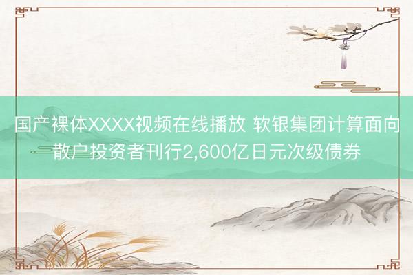 国产裸体XXXX视频在线播放 软银集团计算面向散户投资者刊行2，600亿日元次级债券