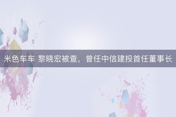 米色车车 黎晓宏被查，曾任中信建投首任董事长