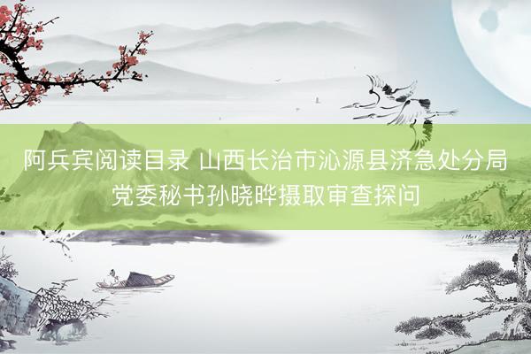 阿兵宾阅读目录 山西长治市沁源县济急处分局党委秘书孙晓晔摄取审查探问