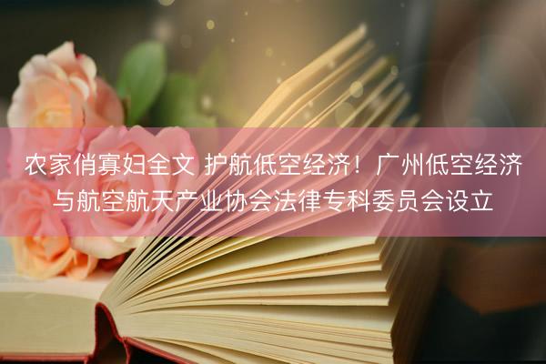 农家俏寡妇全文 护航低空经济!广州低空经济与航空航天产业协会法律专科委员会设立