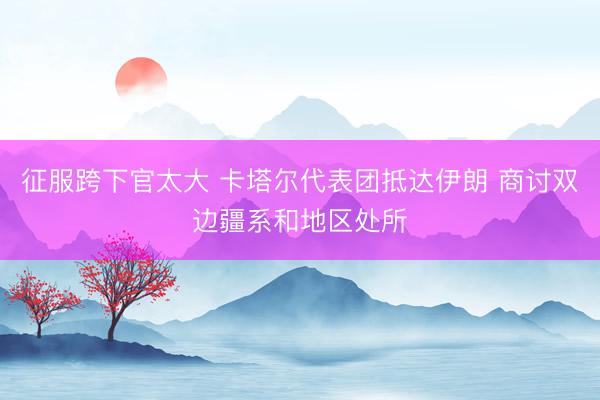 征服跨下官太大 卡塔尔代表团抵达伊朗 商讨双边疆系和地区处所