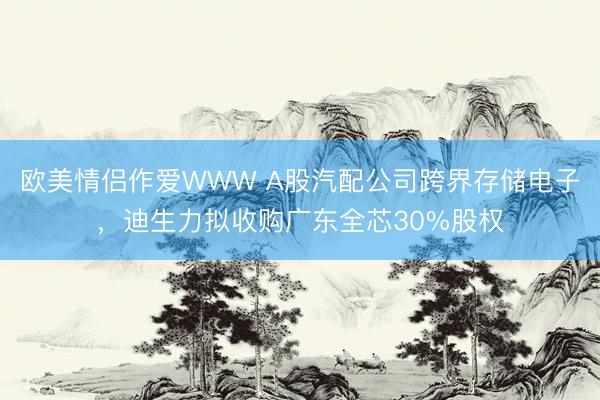 欧美情侣作爱WWW A股汽配公司跨界存储电子，迪生力拟收购广东全芯30%股权