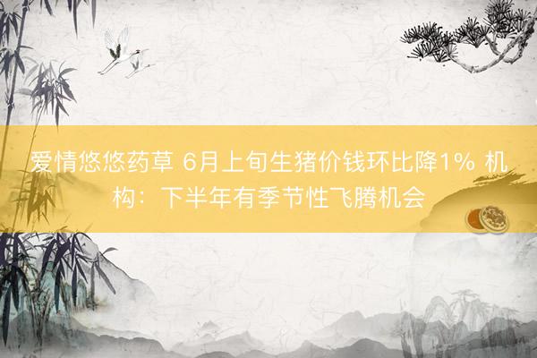 爱情悠悠药草 6月上旬生猪价钱环比降1% 机构：下半年有季节性飞腾机会