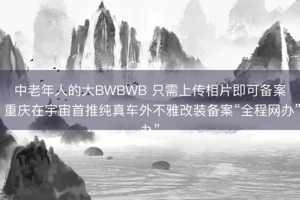 中老年人的大BWBWB 只需上传相片即可备案 重庆在宇宙首推纯真车外不雅改装备案“全程网办”
