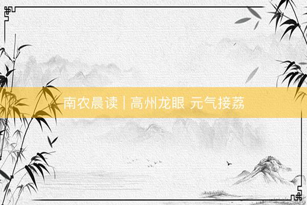 南农晨读 | 高州龙眼 元气接荔