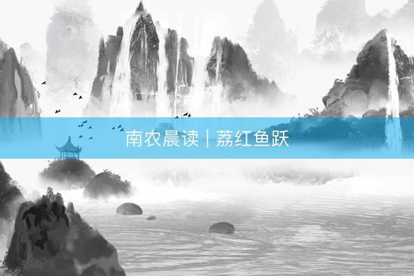 南农晨读 | 荔红鱼跃