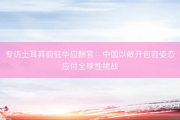专访土耳其前驻华应酬官:中国以敞开包容姿态应付全球性挑战