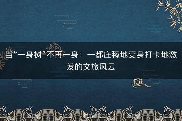 当“一身树”不再一身：一都庄稼地变身打卡地激发的文旅风云