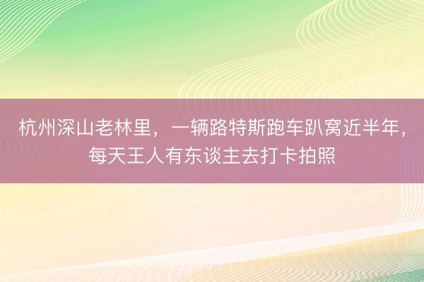 杭州深山老林里，一辆路特斯跑车趴窝近半年，每天王人有东谈主去打卡拍照