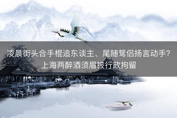 凌晨街头合手棍追东谈主、尾随鸳侣扬言动手？上海两醉酒须眉被行政拘留