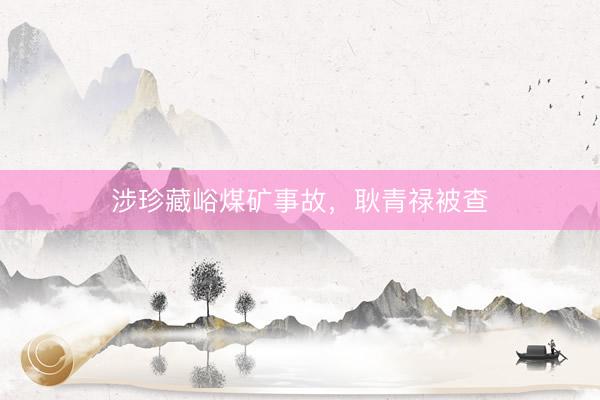 涉珍藏峪煤矿事故，耿青禄被查