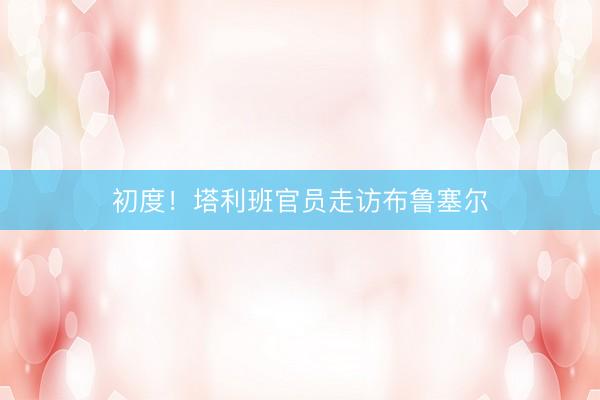 初度！塔利班官员走访布鲁塞尔